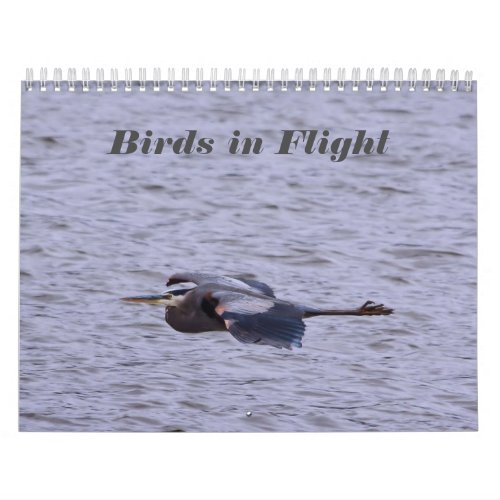 Birds in Flight Calendar