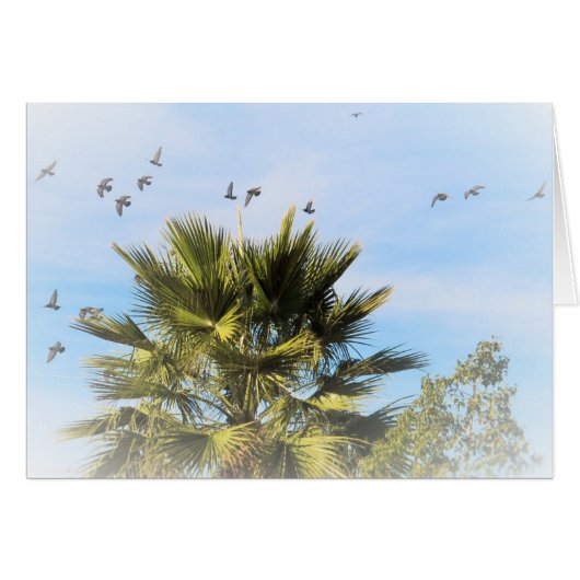 Birds In Flight Cards (Front Horizontal)