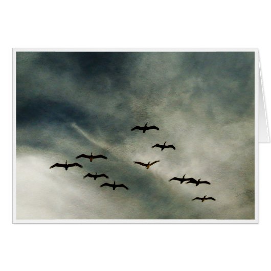Birds in Flight Cards (Front Horizontal)