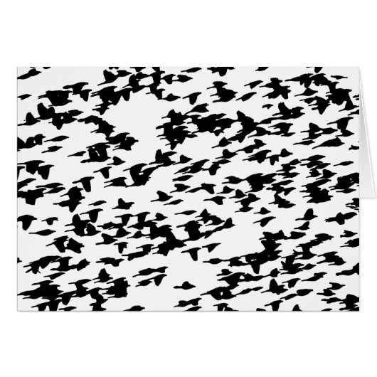 Birds in Flight Cards (Front Horizontal)