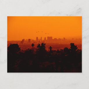 Birds In Flight (Los Angeles, CA) Postcard