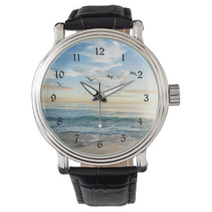 Birds in flight over the ocean watch