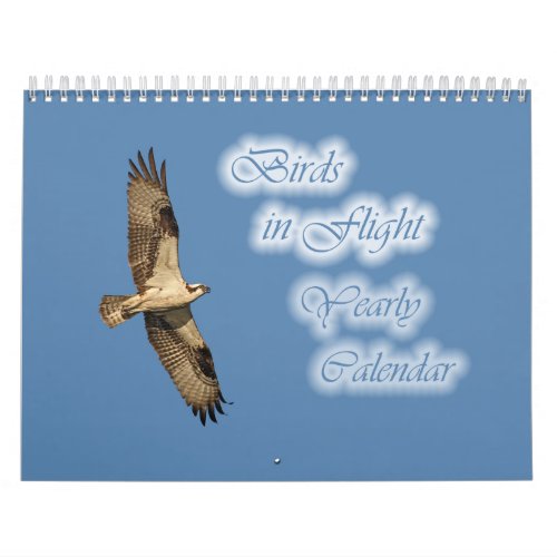 Birds in Flight Yearly Calendar