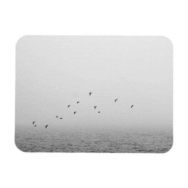 Birds in fog magnet (Horizontal)