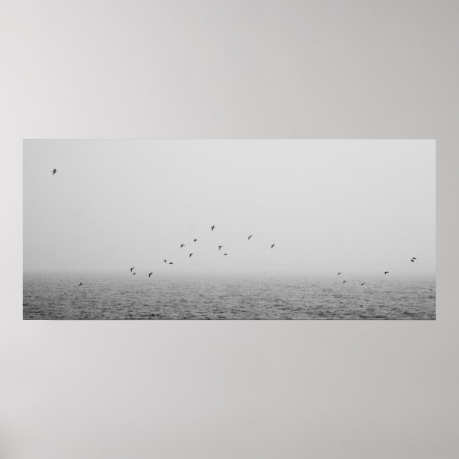 Birds in fog poster (Front)