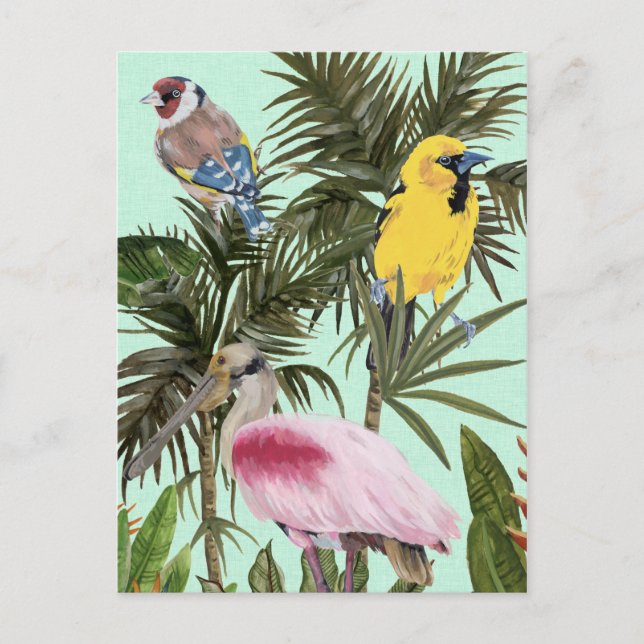 Birds in Paradise Postcard (Front)