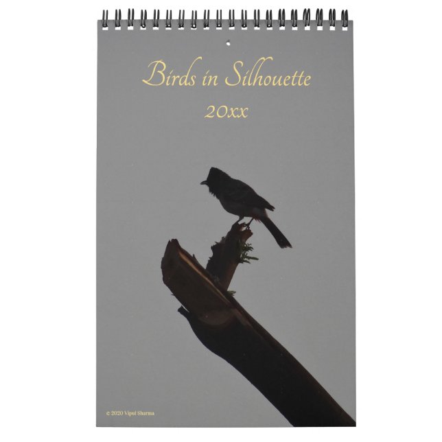 Birds in Silhouette 2026 Wildlife Nature Photo Calendar (Cover)
