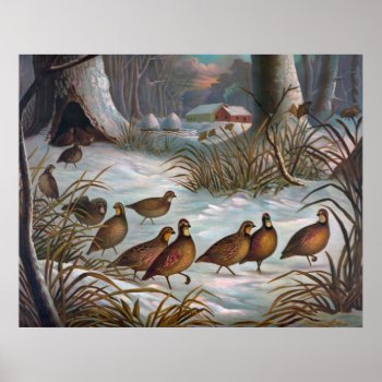 Birds In Snow Poster by OldArtReborn at Zazzle