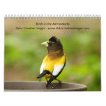 Birds in the Adirondacks 2026 Calendar