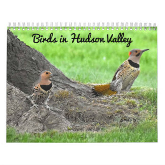Birds in the Hudson Valley Calendar