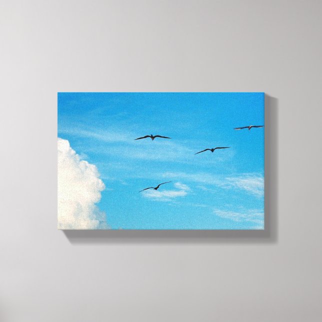 Birds in the Sky Canvas Print (Front)