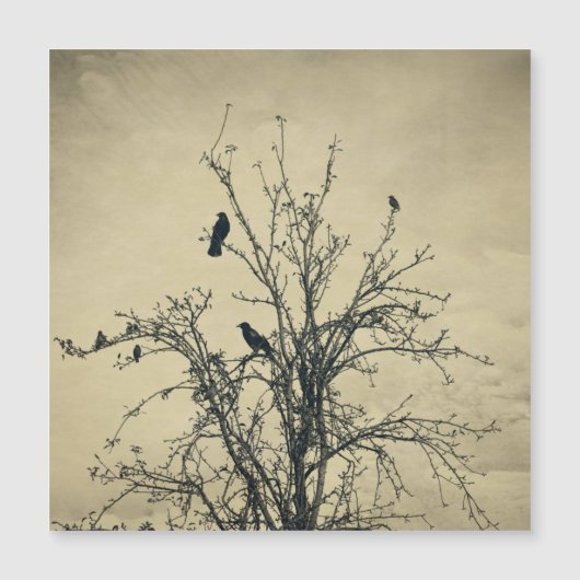 Birds in the tree   -     (Front)