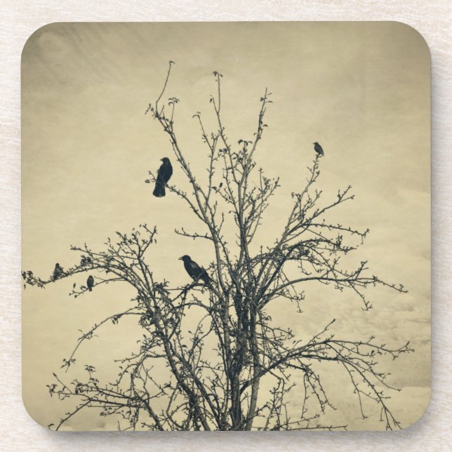 Birds in the tree   -     beverage coaster (Front)