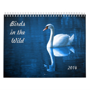 Birds in the Wild Calendar