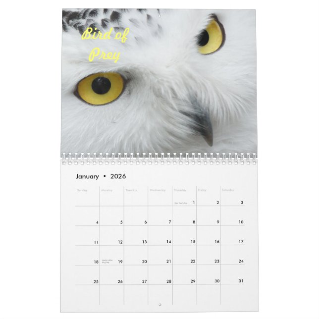Birds in the Wild Calendar (Jan 2026)