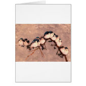 birds in the winter (Front)