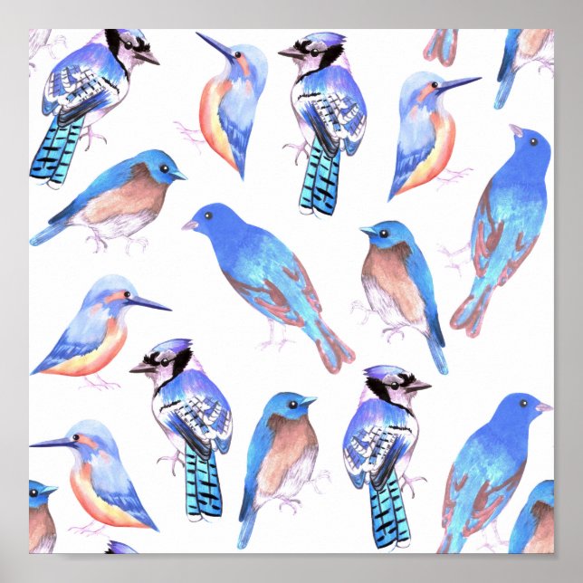 Birds in tints and shades of blue-bird lovers poster (Front)