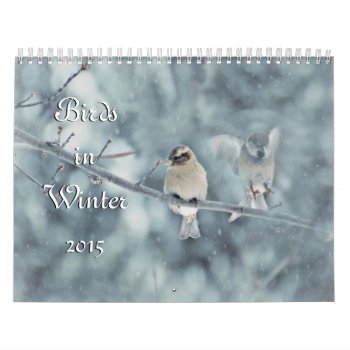 Birds In Winter 2015 Calendar by Vanillaextinctions at Zazzle