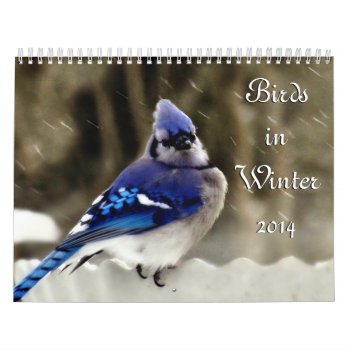 Birds In Winter Calendar by Vanillaextinctions at Zazzle