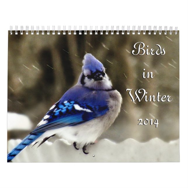 Birds in Winter Calendar (Cover)
