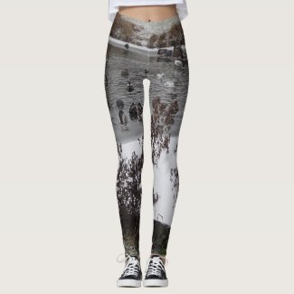 Birds in Winter Legging