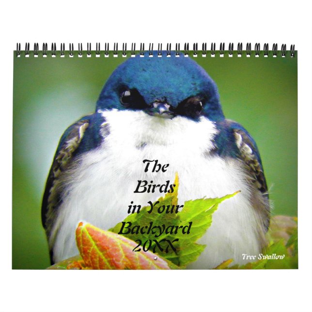 Birds in Your Backyard Photography Calendar (Cover)