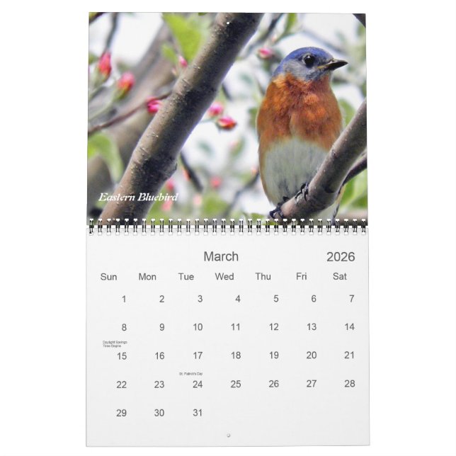 Birds in Your Backyard Photography Calendar (Mar 2026)