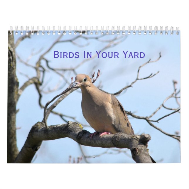 Birds In your yard Calendar (Cover)