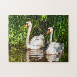 birds  jigsaw puzzle