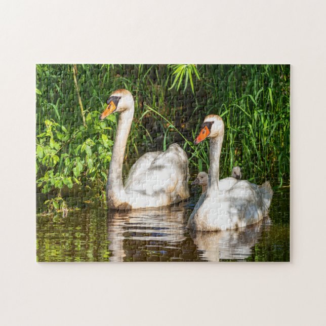 birds  jigsaw puzzle (Horizontal)