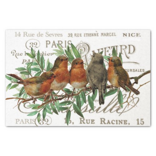 Birds Leaves Vintage French City Names Decoupage Tissue Paper