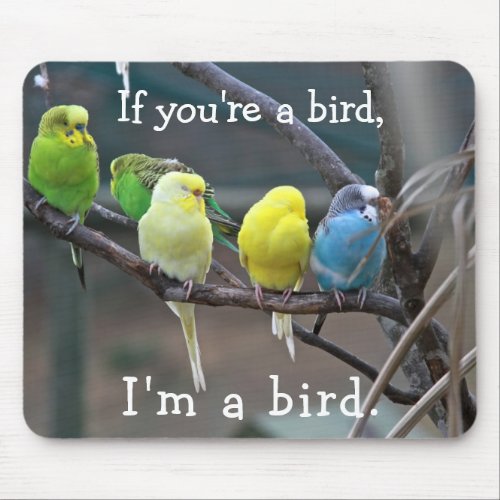 Birds Love Quote Parakeets Budgies Photo Mouse Pad