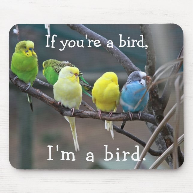 Birds Love Quote Parakeets Budgies Photo Mouse Pad (Front)