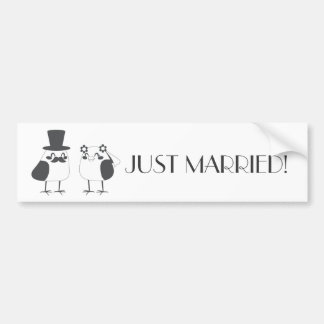 Birds Love Wedding Cake Bumper Sticker