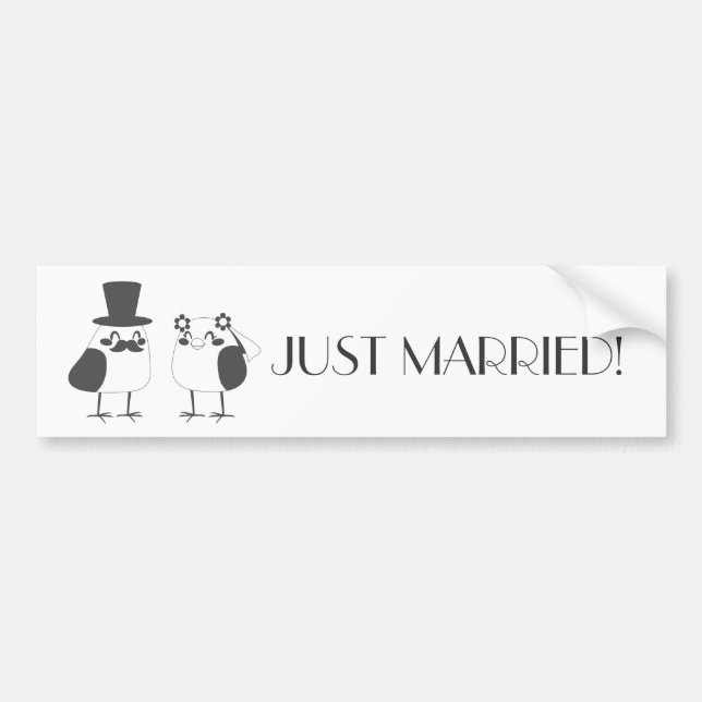Birds Love Wedding Cake Bumper Sticker (Front)
