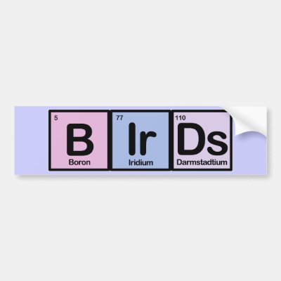 Birds made of Elements Bumper Sticker