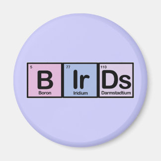 Birds made of Elements Magnet