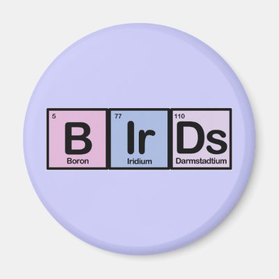 Birds made of Elements Magnet