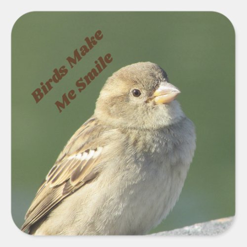 Birds Make Me Smile Small Brown Sparrow Square Sticker