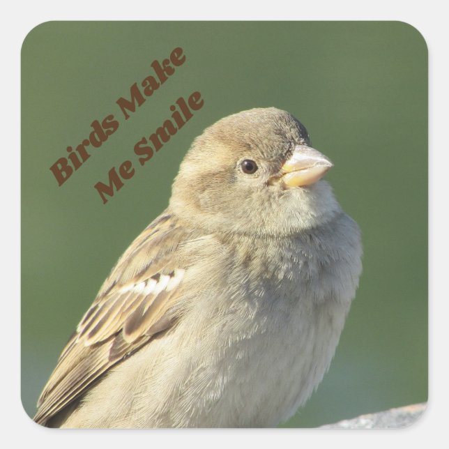 Birds Make Me Smile Small Brown Sparrow Square Sticker (Front)