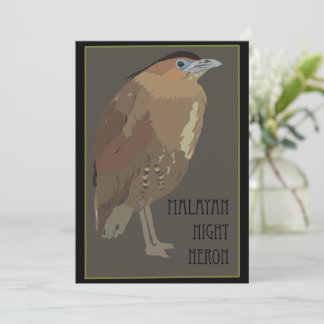 Birds - Malayan Night Heron Card