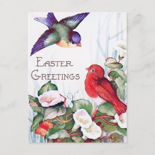 Birds Morning Glory Retro Easter Postcard