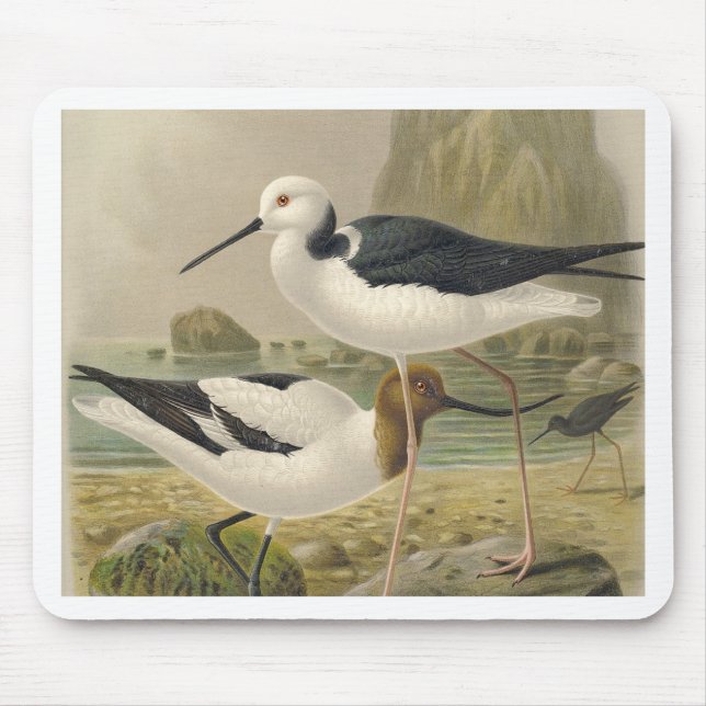 Birds Mouse Pad (Front)