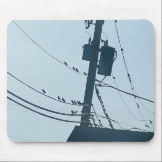 Birds Mousepad