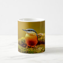 Birds Mug - Nuthatch