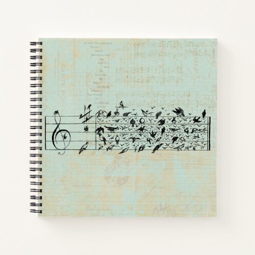 Birds  Music Staff Paper Vintage Aged Mint Green Notebook