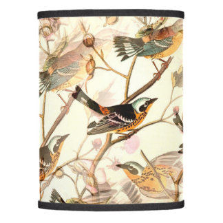 Birds,nature,vintage art throw lamp shade