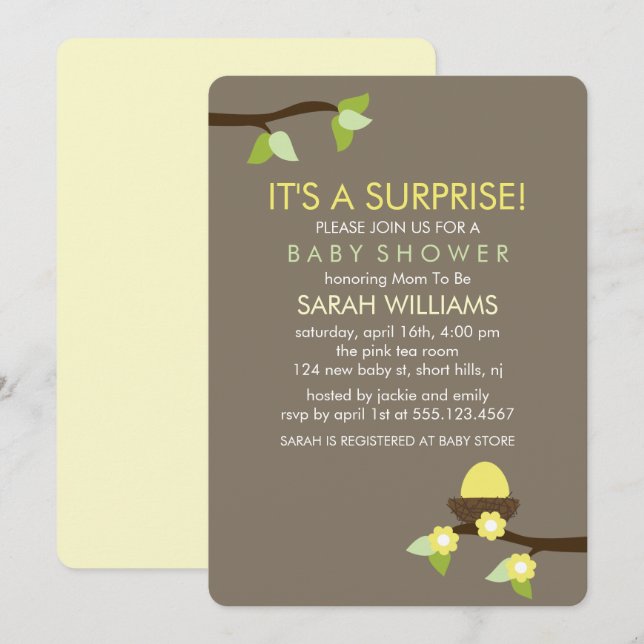 Birds Nest and Blossoms Baby Shower Invitation (Front/Back)