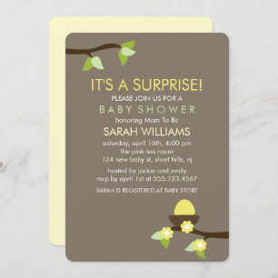 Birds Nest and Blossoms Baby Shower Invitation