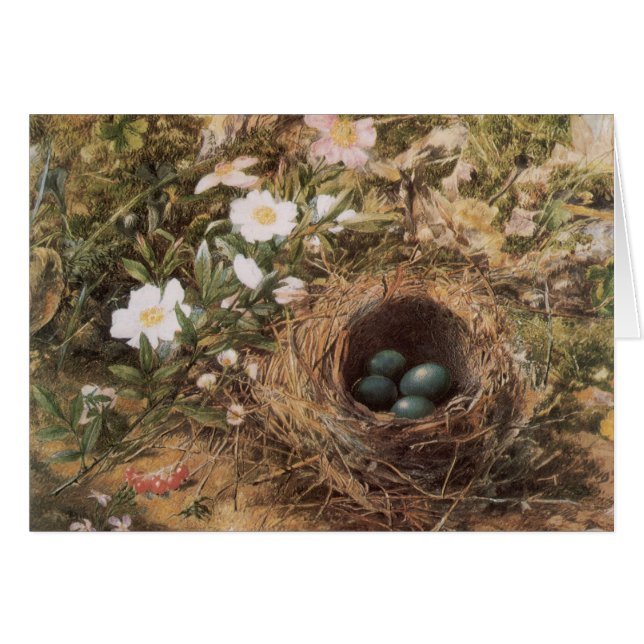 Bird's Nest and Dog Roses by John William Hill (Front Horizontal)